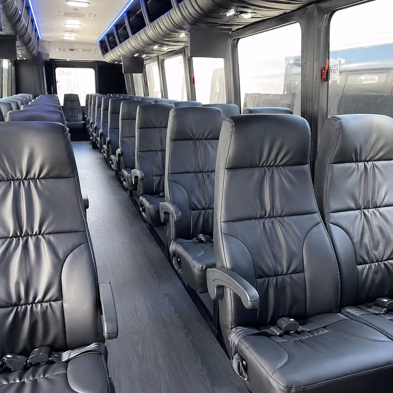 minibuses and charter buses for virginia zoo field trips from portsmouth