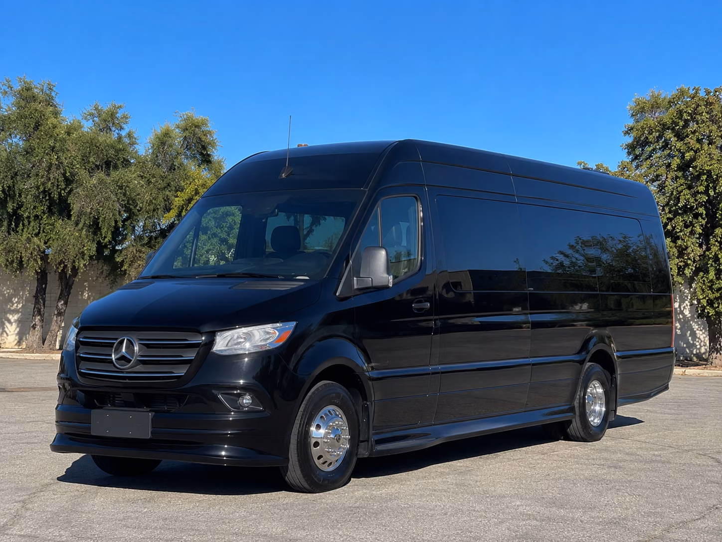sprinter van with driver